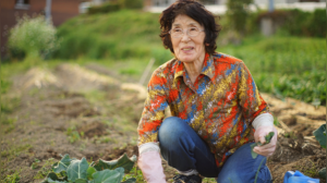 Secrets of Longevity: Uncovering the Unique Habits of Ogimi, Japan's Centenarian Village