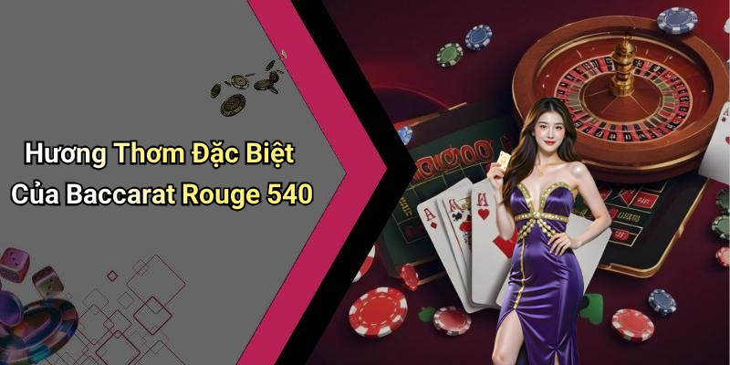 Baccarat Rouge 540 Guaranteed Price: The Perfect Choice For Fun Lovers