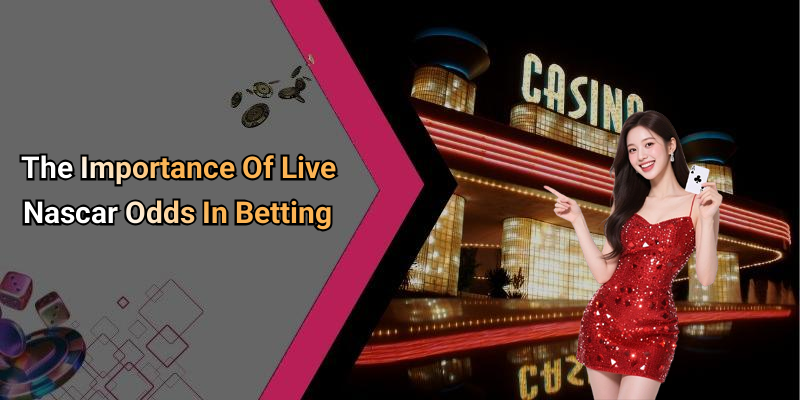 The Importance Of Live Nascar Odds In Betting