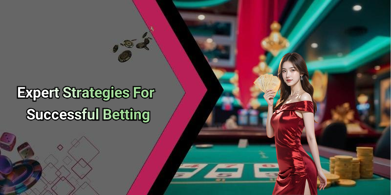 Expert Strategies For Successful Betting