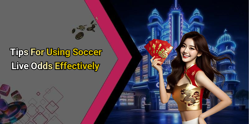 Tips For Using Soccer Live Odds Effectively