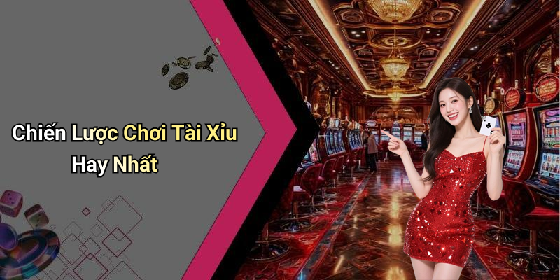 Chiến Lược Chơi Tài Xỉu Hay Nhất